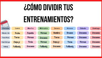 ¿Qué partes del cuerpo se deben entrenar juntos?