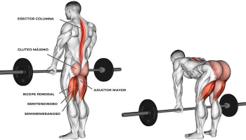 ¿Qué beneficios tiene levantar peso muerto?
