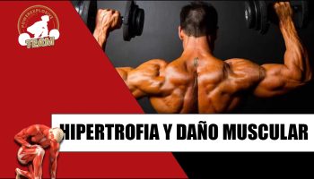 ¿Cómo romper el músculo para que crezca?