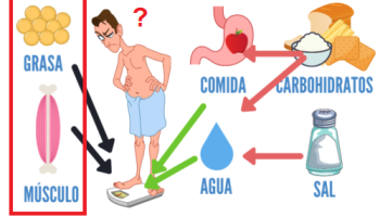 ¿Cómo saber si estás perdiendo grasa abdominal?