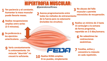 ¿Cómo saber si llego a la hipertrofia?