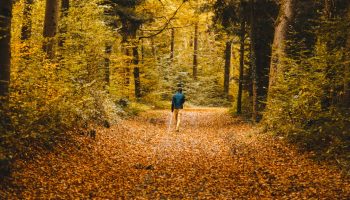 ¿Cuál es la mejor estación del año para hacer ejercicios?