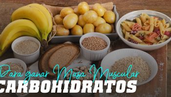¿Cuáles son los carbohidratos para ganar masa muscular?