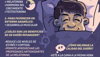 ¿Cuántas horas se debe dormir para que crezcan los músculos?