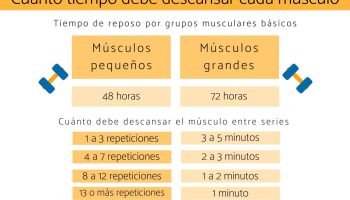 ¿Cuánto tiempo tarda el cuerpo en ganar masa muscular?