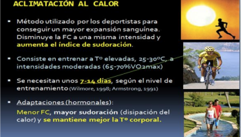 ¿Cuánto tiempo tarda una persona en aclimatarse al calor?