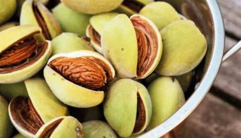 ¿Qué alimentos ayudan a regenerar los músculos?