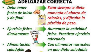 ¿Qué es lo primero que se adelgaza?