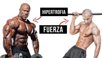 ¿Qué es más fácil ganar fuerza o músculo?