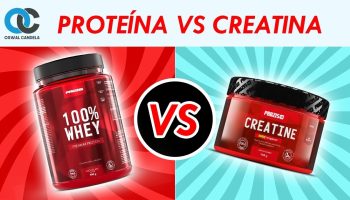 ¿Qué es mejor la creatina o la Whey Protein?