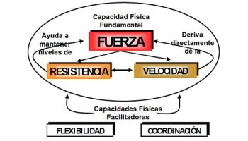 ¿Que hacer primero fuerza o hipertrofia?
