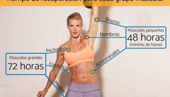 ¿Que músculos se demoran más en crecer?