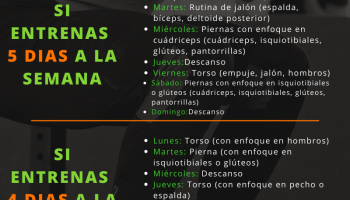 ¿Qué músculos trabajar 2 veces por semana?
