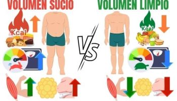 ¿Que no comer si estoy en volumen?