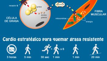 ¿Qué parte del cuerpo se quema grasa primero?