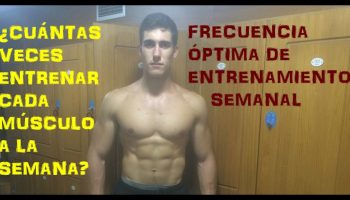 ¿Qué pasa si entreno 1 músculo por semana?